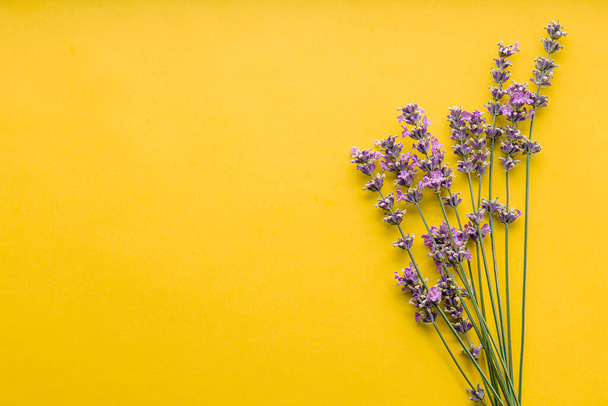 Fresh lavender flowers bouquet on yellow color background. Flatlay purple herbal flower blossom. Bouquet of lavender copy space for text. Lavender aromatherapy. - Valokuva, kuva