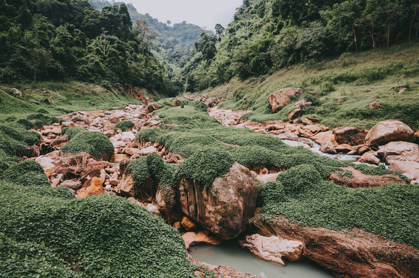 Prachtige natuur landschap van rivier vallei met rots in de bergen, bos. - Foto, afbeelding