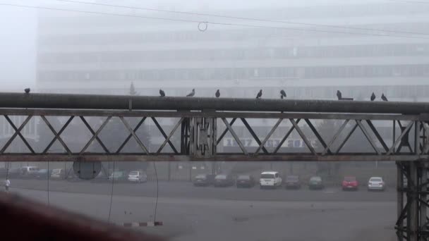 Granja de metal en encrucijada en otoño niebla
 - Metraje, vídeo