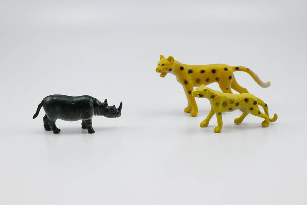 2 Cheetahs are hunting rhino - Photo, Image