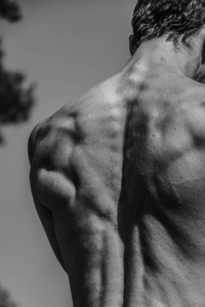 Black and white image of a muscular man, athletic body, handsome masculine muscle shapes, relief. Beautiful strong and flexible body, sexy attractive. - Foto, imagen
