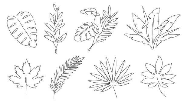 Tropical leaves. Palm tree and maple linear leaf. Tropic jungle and beach floral abstract elements continuous line exotic plant vector set - Vektor, Bild