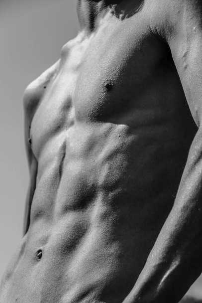 Male torso, chest belly shoulders close-up Black and white image of a muscular man, athletic body, beautiful masculine form of muscles, relief. Beautiful strong and flexible body, sexy attractive. - 写真・画像