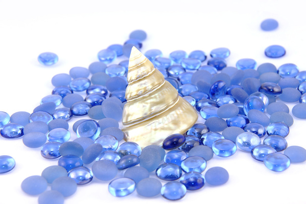 Oreille de roche sur cailloux décor bleu
 - Photo, image