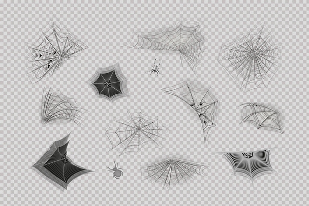 異なる形状のハンギングクモの巣のセット. - ベクター画像