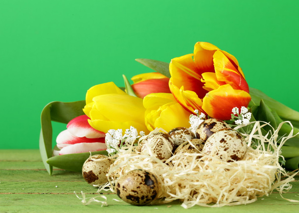 Pääsiäinen asetelma kevään kukkia tulppaanit ja viiriäisen munia puinen tausta
 - Valokuva, kuva
