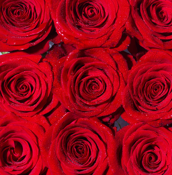 Красный цветок розы, лепестки. Букет цветов, свежая красная роза. Коллаж красных роз. Букет свежих роз, яркий цветочный фон. Крупный план красной розы. Цветочный магазин - Фото, изображение