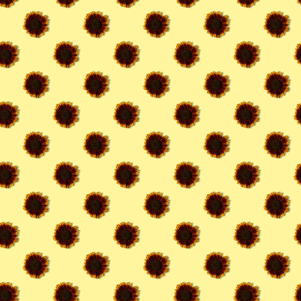 Patrón sin costuras con marrón oscuro con girasoles naranjas sobre fondo amarillo. Directamente por encima de la vista sobre las flores. - Foto, imagen