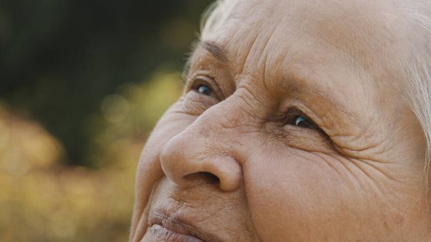 Augen einer älteren Frau im Park. Blick in den Himmel. Extreme Nahaufnahme - Foto, Bild
