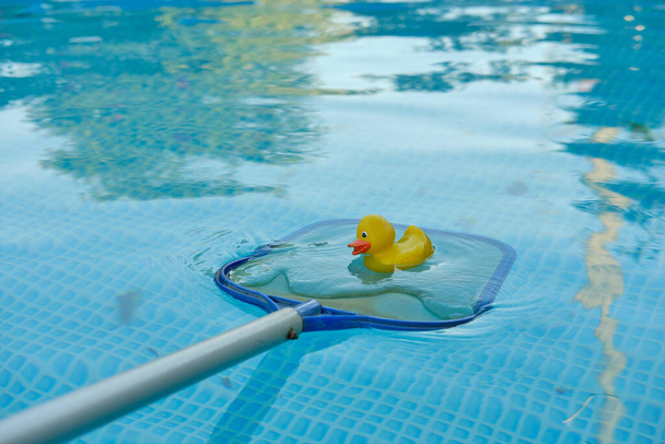 Pato de borracha amarelo em uma rede de piscina no fundo de água azul da piscina quadro. Produtos e acessórios para manutenção de piscinas. - Foto, Imagem