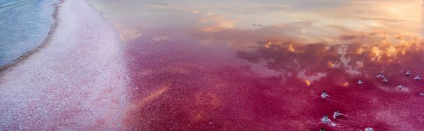 Sunset on Lake Lemuria. Red salt lies on the shore. Clouds are reflected in the water surface. - Photo, Image