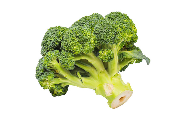 Brócoli aislado sobre fondo blanco. Una rama de brócoli verde fresco. Alimento saludable. - Foto, Imagen