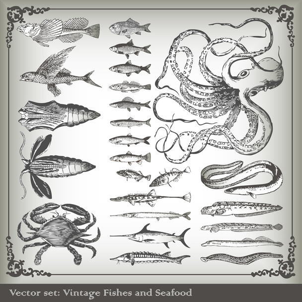 Vector set: fish background - Вектор,изображение