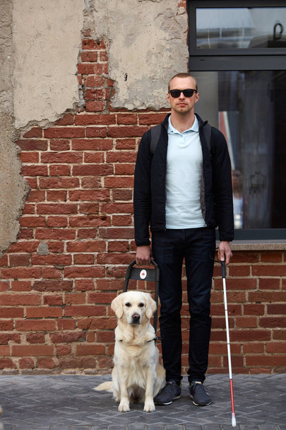 portrait of young caucasian blind man with dog guide - 写真・画像