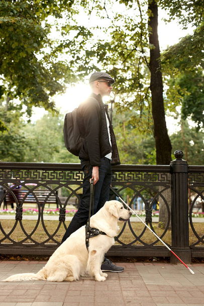 blind man guided by puppy - Φωτογραφία, εικόνα