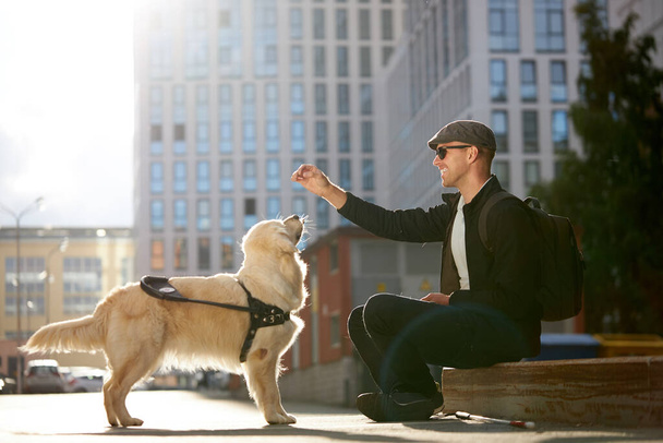 blind man training golden retriever outdoors, giving obedience command - 写真・画像