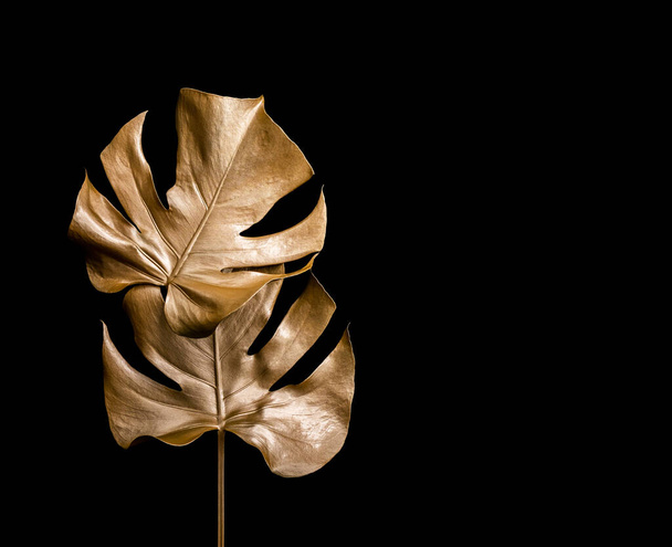 Golden palm leaves. Isolated on black. High quality photo. - Photo, Image