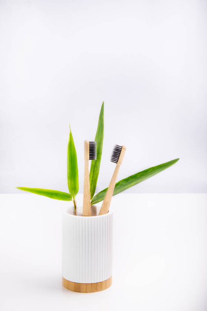 A family set of two wooden toothbrushes standing with fresh bamboo leaves in white fluted holder with bamboo basis on white background. Eco-friendly and zero waste lifestyle. Minimalism. Copy space. - 写真・画像