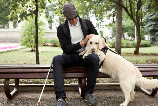 blind man stroking guide dog, caring favorite pet - Photo, image