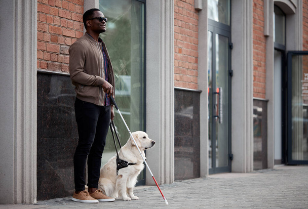 blind black man with dog guide - 写真・画像