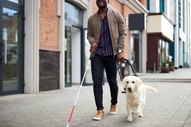 jonge blinde man met stok en geleidehond wandelen - Foto, afbeelding