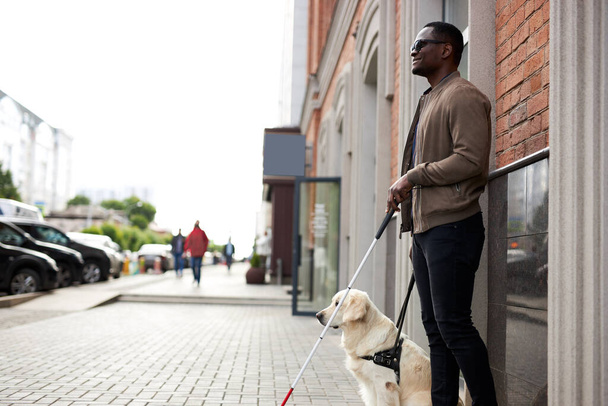 african american disabled man with helpful dog - Zdjęcie, obraz