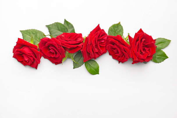 Beautiful red roses on white background - Foto, Imagen