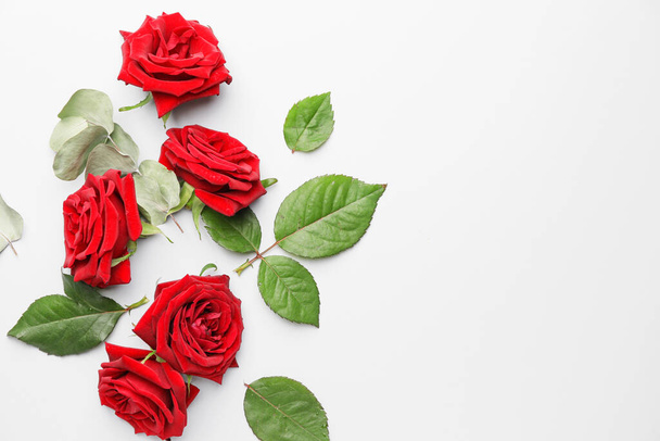 Όμορφα κόκκινα τριαντάφυλλα και φύλλα σε λευκό φόντο - Φωτογραφία, εικόνα