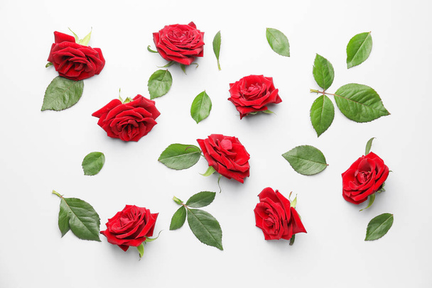 Beautiful red roses and leaves on white background - 写真・画像