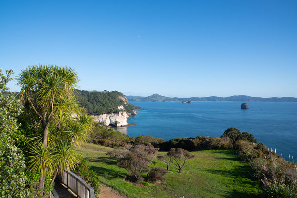 Küstenblick vom Parkplatz des Cathedral Cove Spaziergangs bei Hahei Coromandel Neuseeland. - Foto, Bild