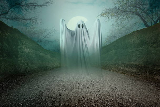 White ghost haunting with a night scene background. Halloween concept - Fotografie, Obrázek