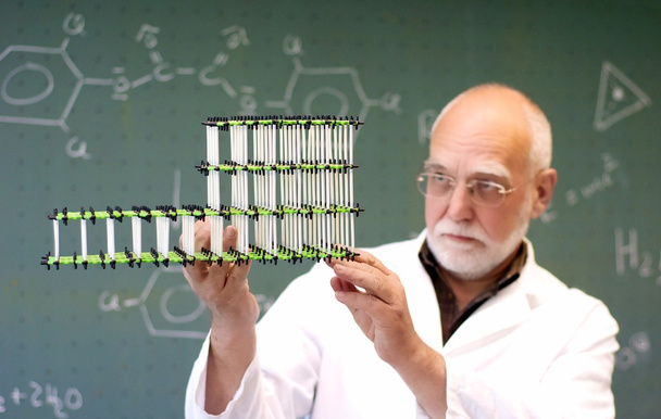 El hombre compara dos modelos moleculares
 - Foto, imagen