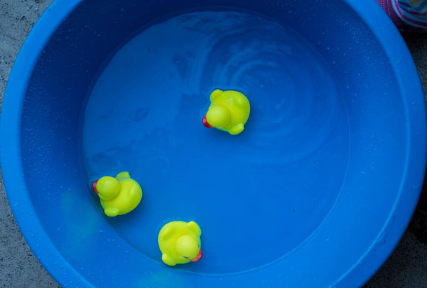 giocattoli per bambini nell'acqua anatroccoli gialli - Foto, immagini