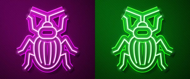 Icono de escarabajo chaflán de línea de neón brillante aislado sobre fondo púrpura y verde. Vector. - Vector, imagen