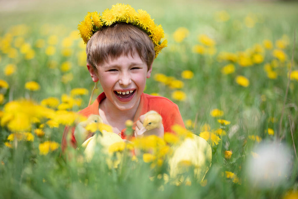 Ευτυχισμένο παιδί σε πικραλίδες με παπάκια. - Φωτογραφία, εικόνα