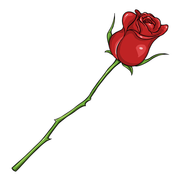 Vector Cartoon Isolated Illustration - Red Rose - Vector, Image