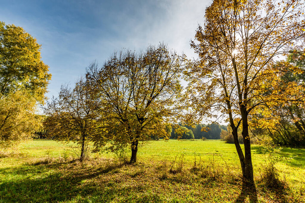 Landschaft Bild von bunten Herbstblättern und Bäumen in Wald und Feld - Foto, Bild