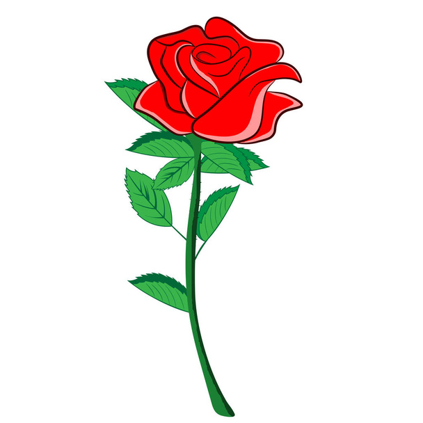 квітка червона троянда Векторна ілюстрація графічний дизайн
 - Вектор, зображення