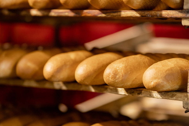 Gebakken brood op automatische productielijn bakkerij uit hete oven - Foto, afbeelding