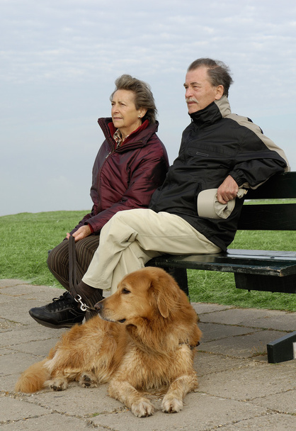 Vanhempi pari koiran kanssa puistonpenkillä
 - Valokuva, kuva