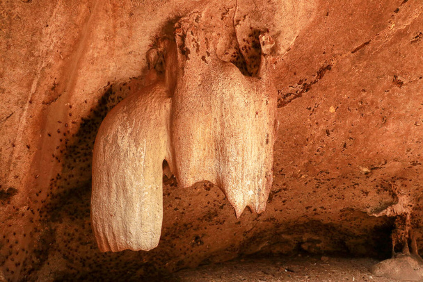 Stalaktyty wapienne, stalaktyty w jaskini nietoperza Goa Bangkang Prab, Lombok, Indonezja. - Zdjęcie, obraz