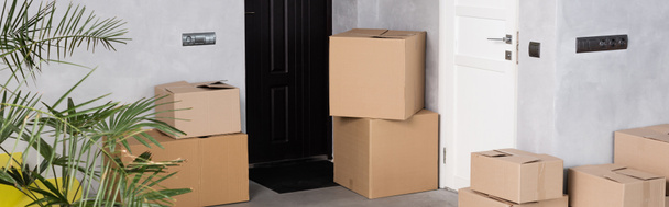 panoramic crop of carton boxes near plant in new home, moving concept - Photo, Image