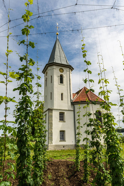 Chapel with hop field, Kressbronn, Lake Constance, Baden-Wuerttemberg, Germany - Photo, Image