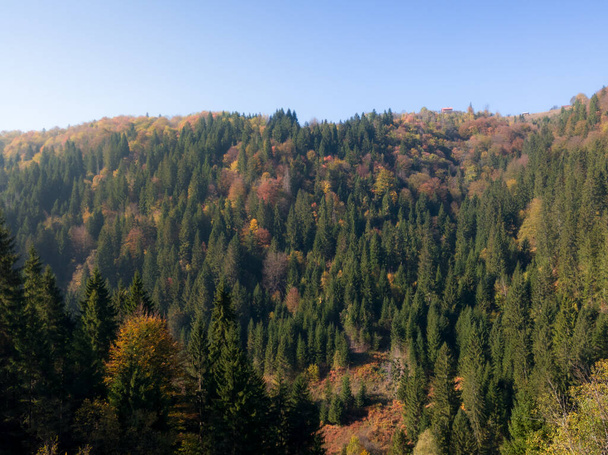 Mountain covered with deciduous and evergreen forest in autumn during sunny day. - Foto, imagen