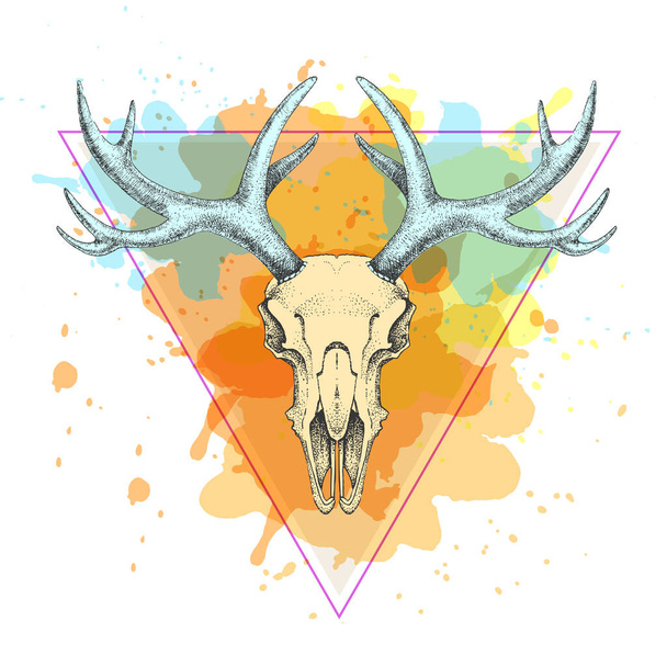 Hipster animal skull on artistic polygon watercolor background. Skull of deer - Vektori, kuva