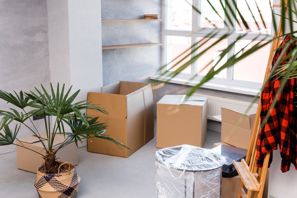 selective focus of carton boxes on floor near plants and easel, moving concept - Foto, Imagem
