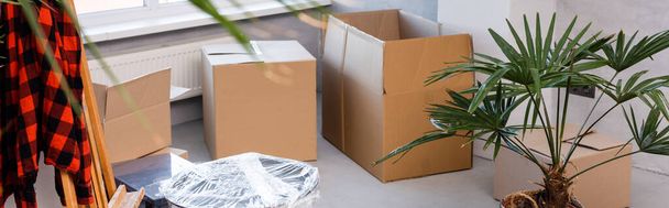 панорамный урожай коробок на полу рядом с растениями и мольбертом, движущаяся концепция - Фото, изображение