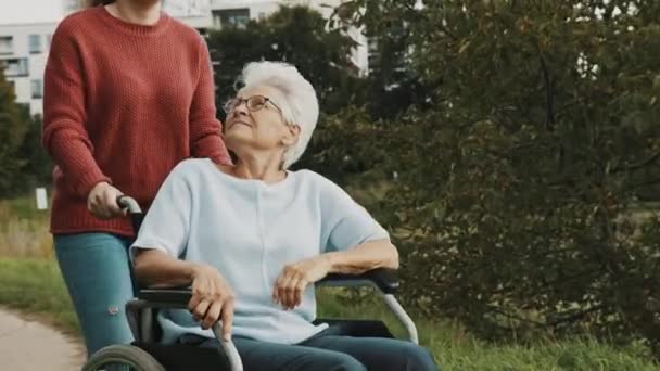 Aikuinen lapsenlapsi auttaa isoäitiään istumassa pyörätuolissa puistossa - Materiaali, video