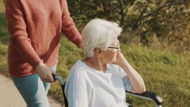 Ältere Großmutter im Rollstuhl mit Enkelin in der herbstlichen Natur. Wandern entlang des Flusses - Filmmaterial, Video