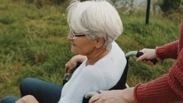 Madre anziana in sedia a rotelle con figlia nella natura autunnale. Passeggiando lungo il fiume - Filmati, video